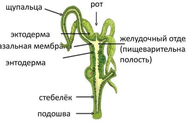 Мега даркмаркет официальный сайт