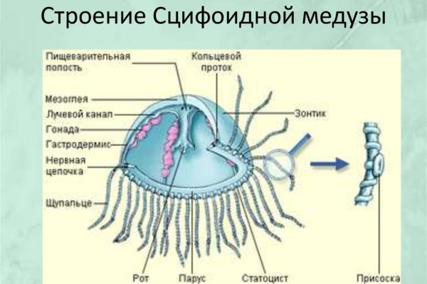 Мега даркнет маркет ссылка тор